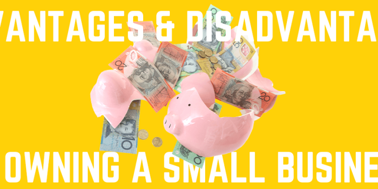 Advantages and Disadvantages of Owning a Small Business