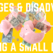 Advantages and Disadvantages of Owning a Small Business