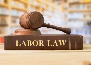 Employment Lawyer
