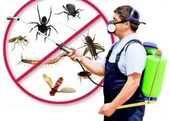 Pests