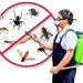 How to Get Rid of Annoying Pests for Good Pests