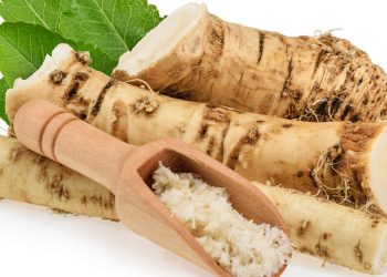is horseradish good for you