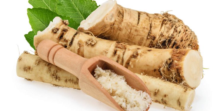 is horseradish good for you