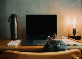 6 Tech Essentials for Digital Nomads