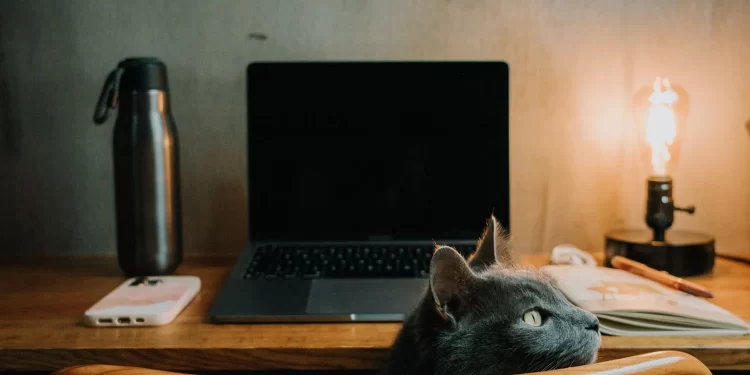 6 Tech Essentials for Digital Nomads