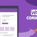 Crafting Excellence: A Guide to WooCommerce Theme Development